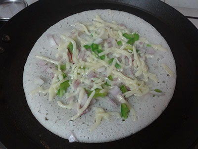 onion and cheese for cheese dosa or cheese dose