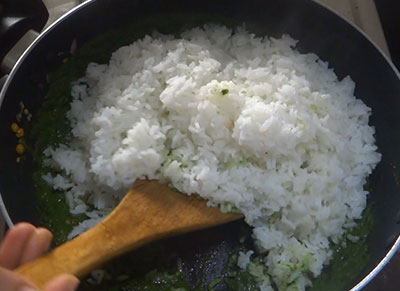 cooked rice for coriander rice recipe or kottambari soppu rice