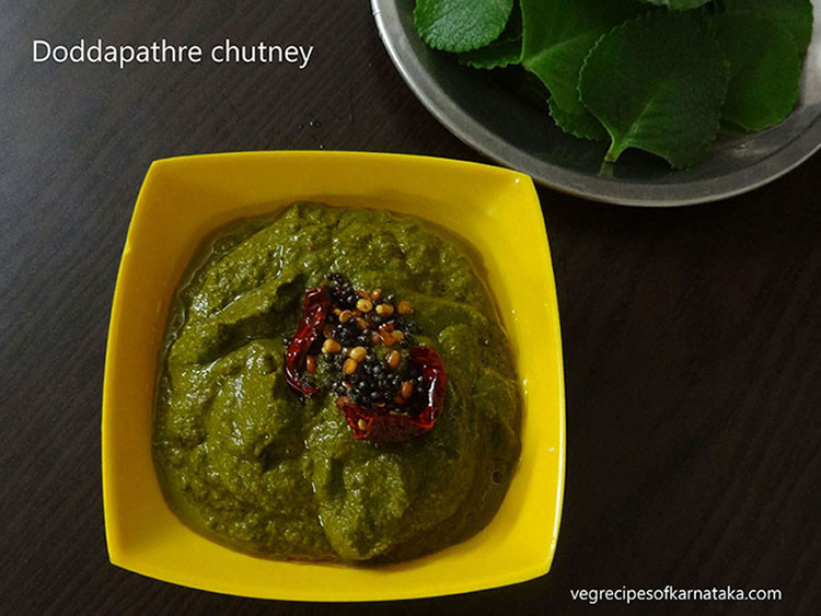 doddapatre or sambarballi chutney recipe