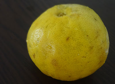 citron for heralekai gojju huli