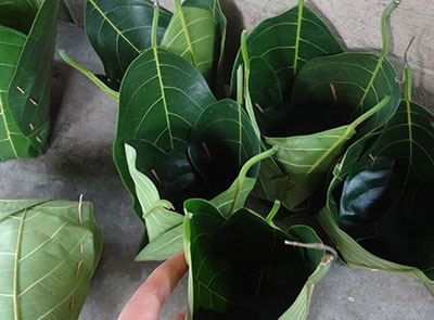 jackfruit leaf cups for kotte kadubu