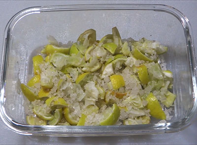 salt for lemon peel recipes and uses