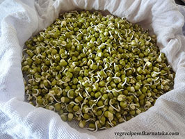 how to make sprouts