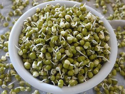 making green gram sprouts at home