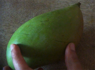 mango for mavinakayi uppinakayi or mango pickle