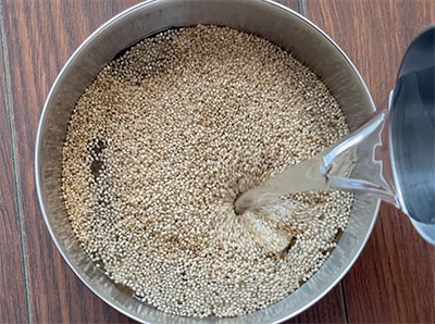 soaking millet for navane or foxtail millet pongal