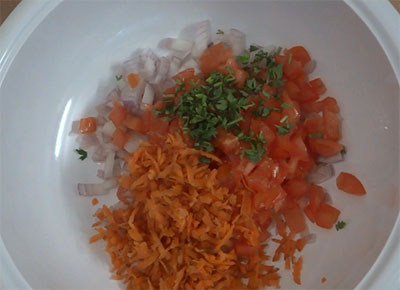onion, tomato and carrot for roasted peanut chat
