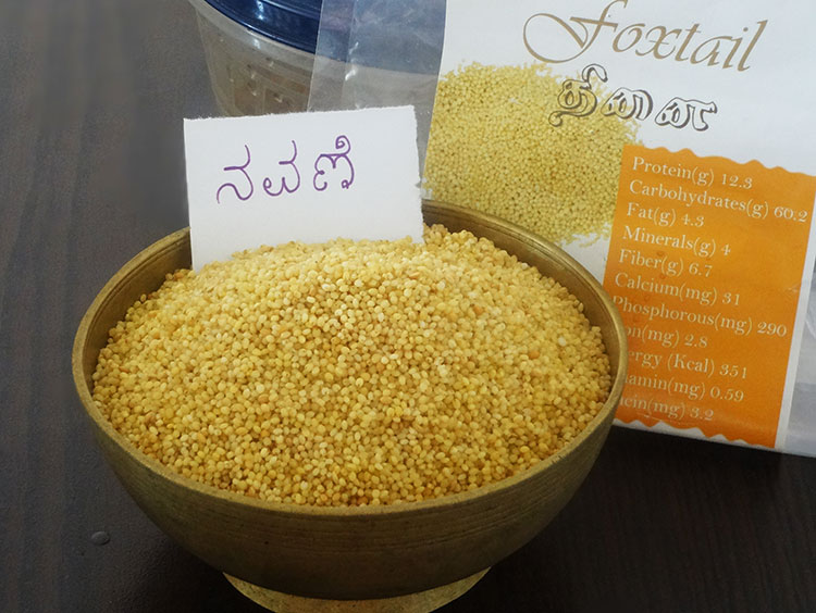 foxtail millet, navane