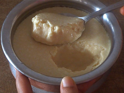 making sweet yogurt or curd or misht doi