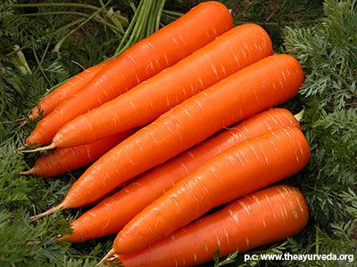 carrot names, health benefits and recipes