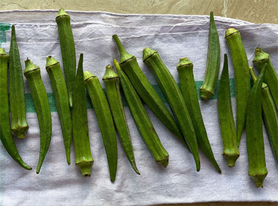 ladies finger for bendekai mirpudi or ladies finger chutney powder recipe