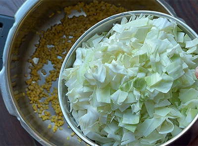 chopped cabbage for cabbage jeerige kootu or ele kosu sambar recipe