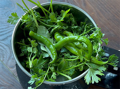 coriander leaves, curry leaves and green chillies for chintamani kadalebeeja or kadlekai recipe