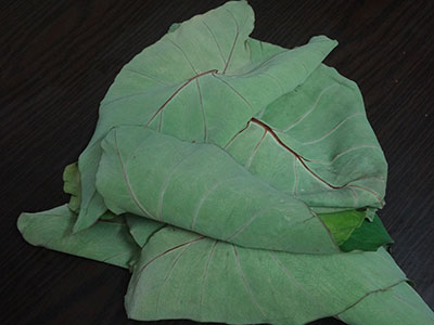 taro leaves for kesuvina ele chutney or taro leaves chutney