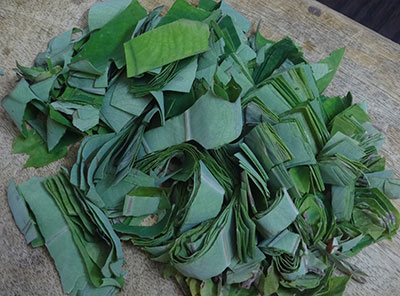colocasia leaves for kesuvina ele chutney or taro leaves chutney