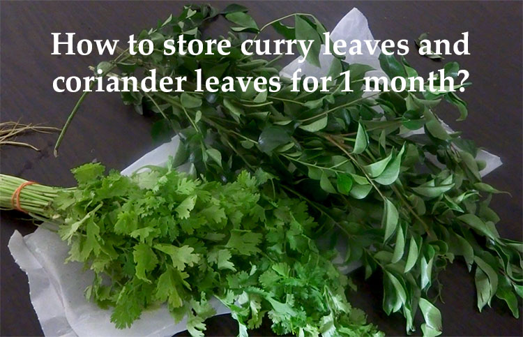 how to store leaves